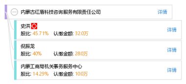 信息技術咨詢服務 內蒙古紅盾科技咨詢服務有限責任公司的專業優勢